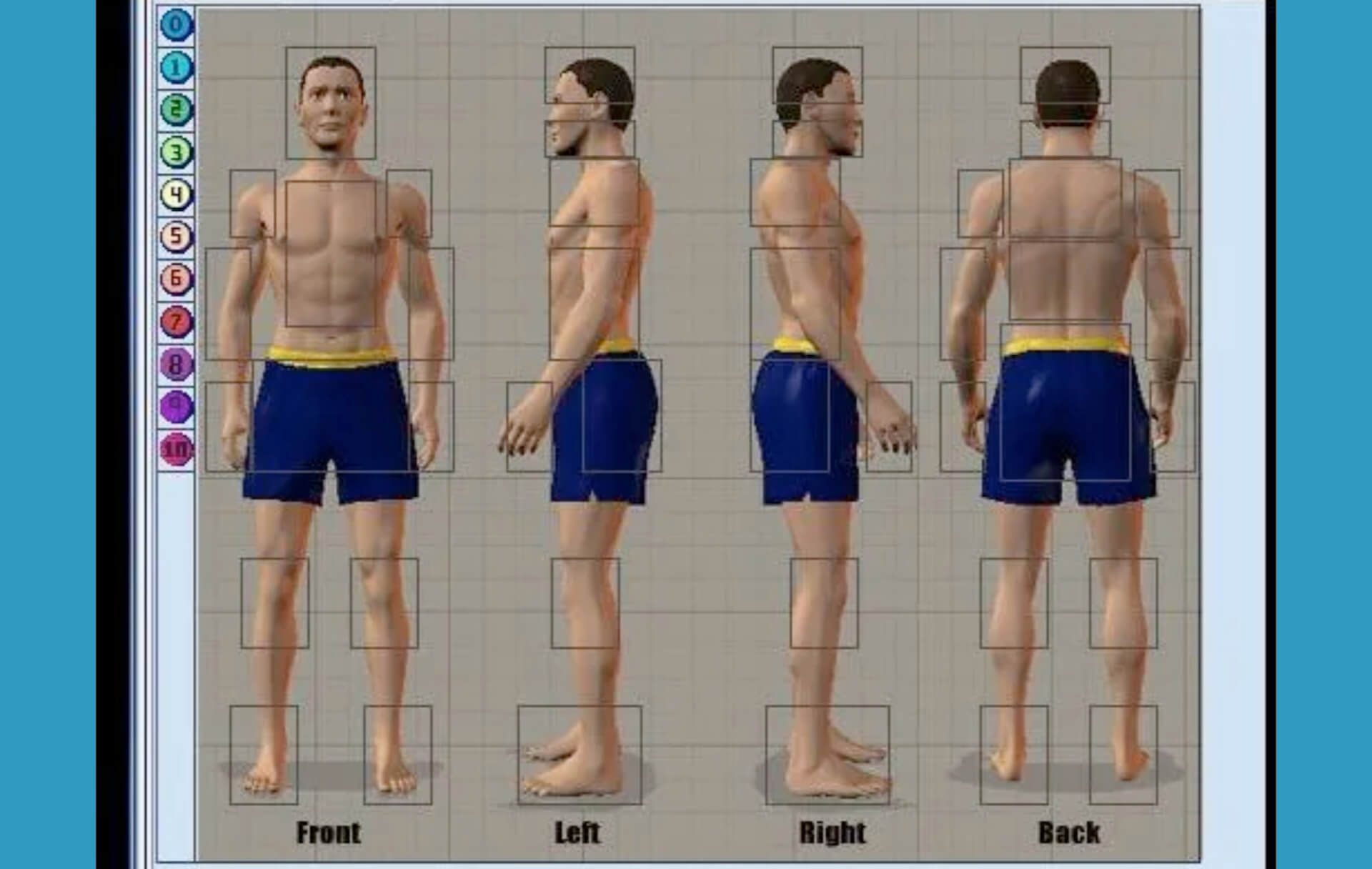 computer graphic of a male body positions frontal, left, right and back